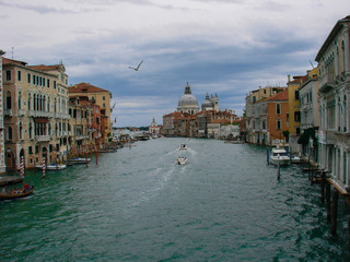 Venice
