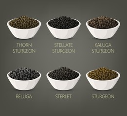 Roe or spawn, red or silver, salmon caviar