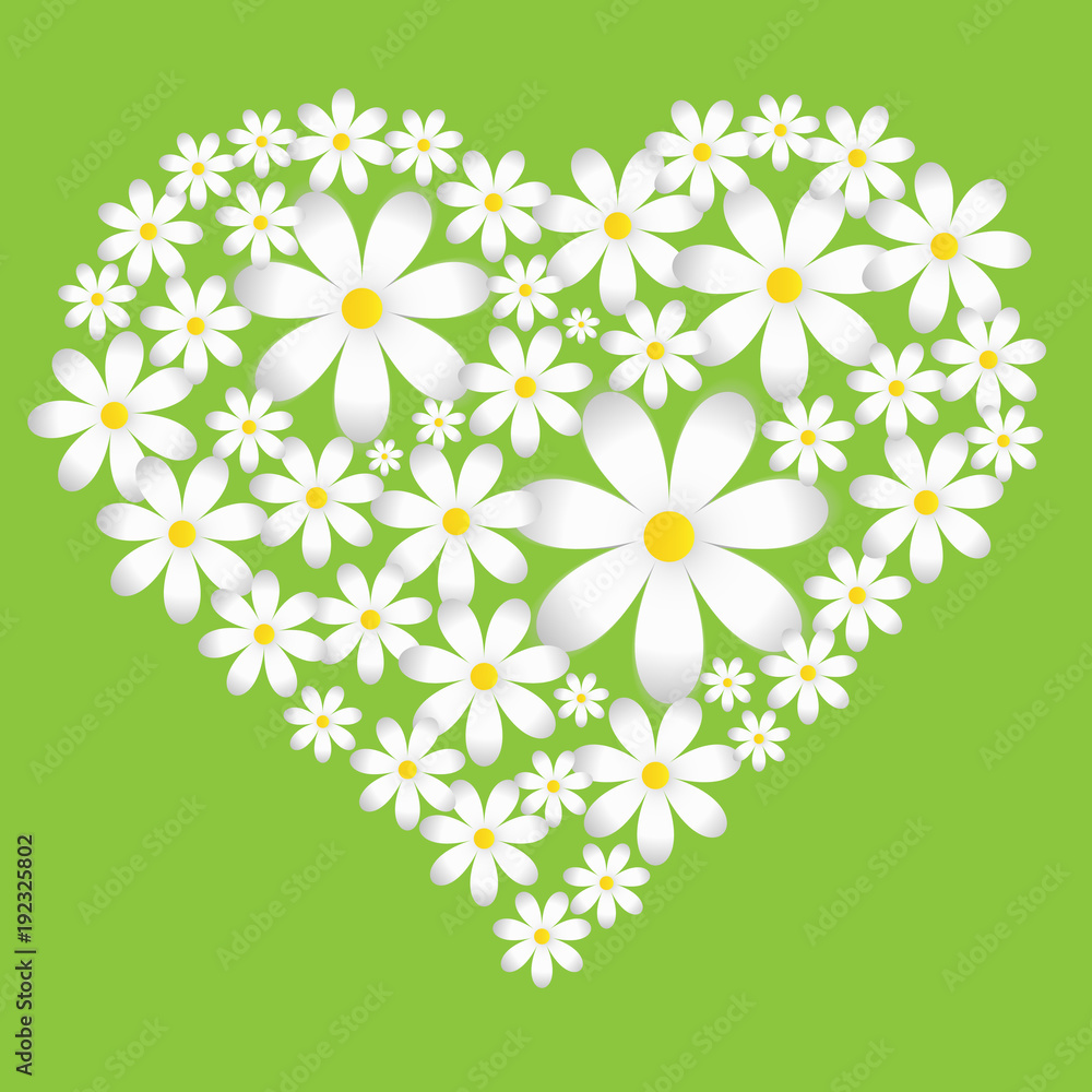 Poster vector spring background with camomiles. heart made of chamomiles on a green background.