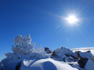 Paysage de montagne en hiver