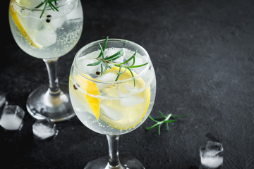 Gin and tonic cocktail - obrazy, fototapety, plakaty