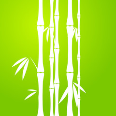 Fototapeta na wymiar Stems of bamboo in sketch style on dark background