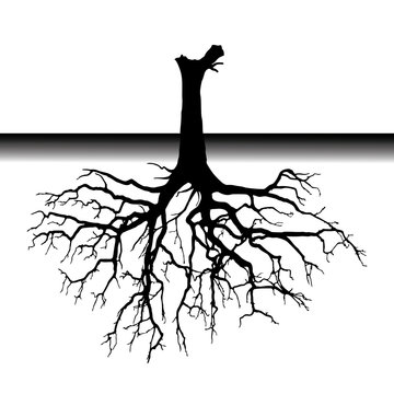 recommend clip art: tree roots