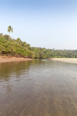 palm tree, jungle and river on rocky and sandy coast, Agonda Beach, Goa, India