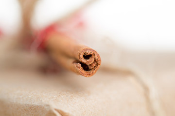Stick of cinnamon close-up. Macro.