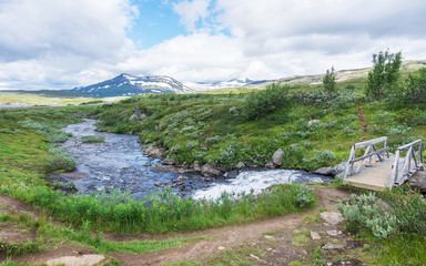 Fototapeta na wymiar Stormy stream in the north of Norway