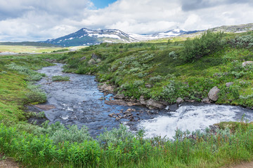 Naklejka na ściany i meble Stormy stream in the north of Norway