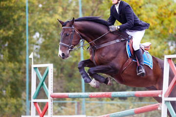 Young rider man on bay horse jumping over hurdle on show jumping competition