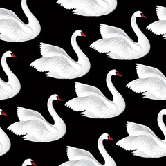 White birds seamless pattern. Wildlife background. Swimming swan