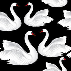 White birds seamless pattern. Wildlife background. Swimming swans