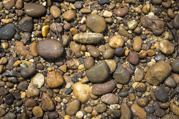 Nature concept background of natural stone on the river beach, summer outdoor day light