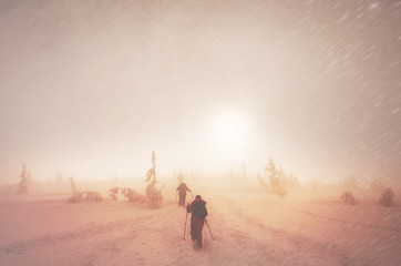 Obraz na płótnie Canvas Ascent to Hoverla in winter