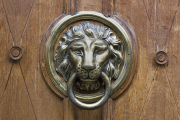 Old door knocker with bronze lion head