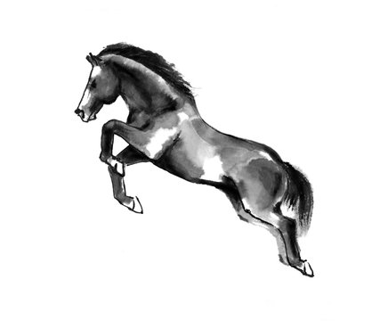 Sumi-e illustration of a horse leaping, moving to the left. Oriental ink painting, isolated on white background.