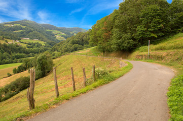 Fototapeta na wymiar The road of Santiago through the Pyrenees