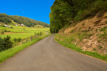 The road of Santiago through the Pyrenees