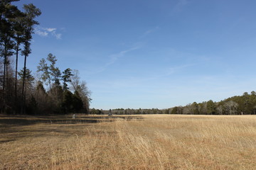 Obraz premium Landscape sunny and beautiful day and nice views