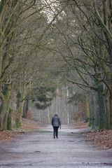 Woman walking in the forest in the Netherlands