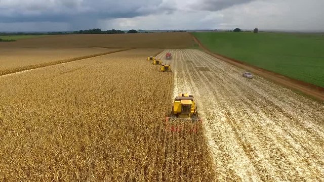 Harvesting corn