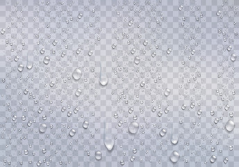 Realistic water droplets on the transparent window. Vector - obrazy, fototapety, plakaty