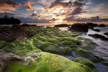 Fototapeta na wymiar Long expose seascape with rocks covered by green moss and waves trails. soft focus due to slow shutter.