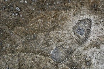 footprint of sneakers on concrete