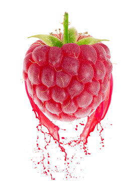 raspberry in juice splash isolated on a white background