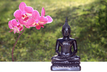sitting buddha with pink phalaenopsis orchid and green background