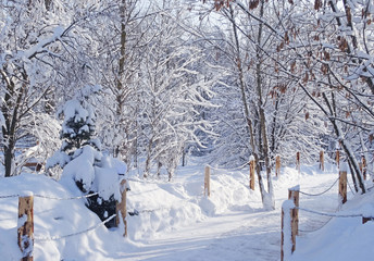 Winter dai in the park.