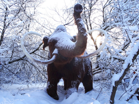  The figure of mammoth. Winter scenery, snowstorm in park. Winter dai in the park.