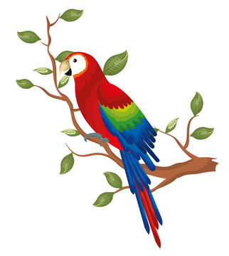 tropical parrot in branch tree vector illustration design