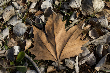 Invierno
