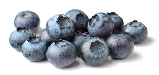 fresh blueberries isolated on the white background
