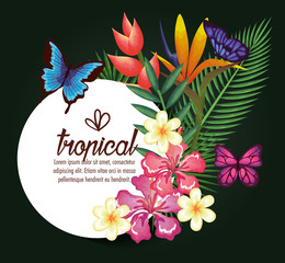 Obraz premium tropical and exotics flowers with butterflies vector illustration design
