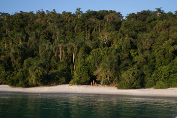 Rainforest Beach