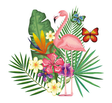 tropical and exotic garden with flemish vector illustration design