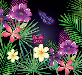 tropical and exotics flowers with butterflies vector illustration design