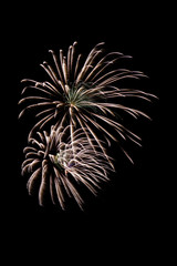 Obraz premium Fireworks
