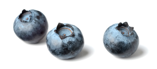 fresh blueberries isolated on the white background