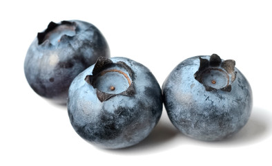 fresh blueberries isolated on the white background