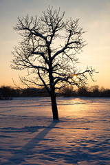 Winterly sunset, Vienna, Austria