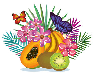 tropical garden with papaya and kiwi vector illustration design fruits, leaves and flowers, summer and exotic concept