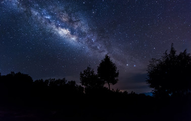 milky way rise above tree.