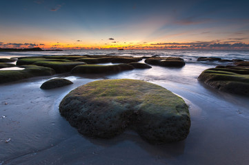 scenic view of sunset seascape with rocks covered by green moss on the ground.