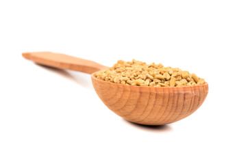 Seeds fenugreek in spoon