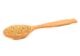 Seeds fenugreek in spoon
