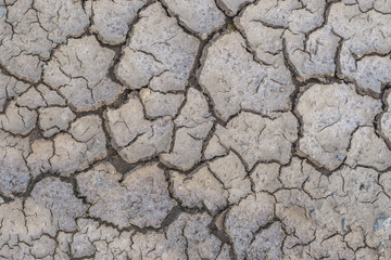 Abstract background or cracked dry land without water, Dried Ground Texture