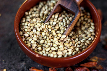 Obraz premium spices - coriander seeds in a brown bowl with the wooden scoop.