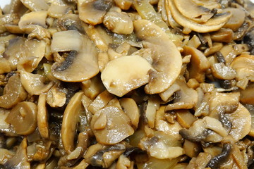 braise champignon mushroom