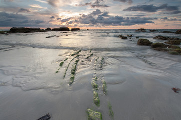 colorful sunset sky with rocks covered by green moss at Kudat Sabah Malaysia. image contain soft focus due to long expose.